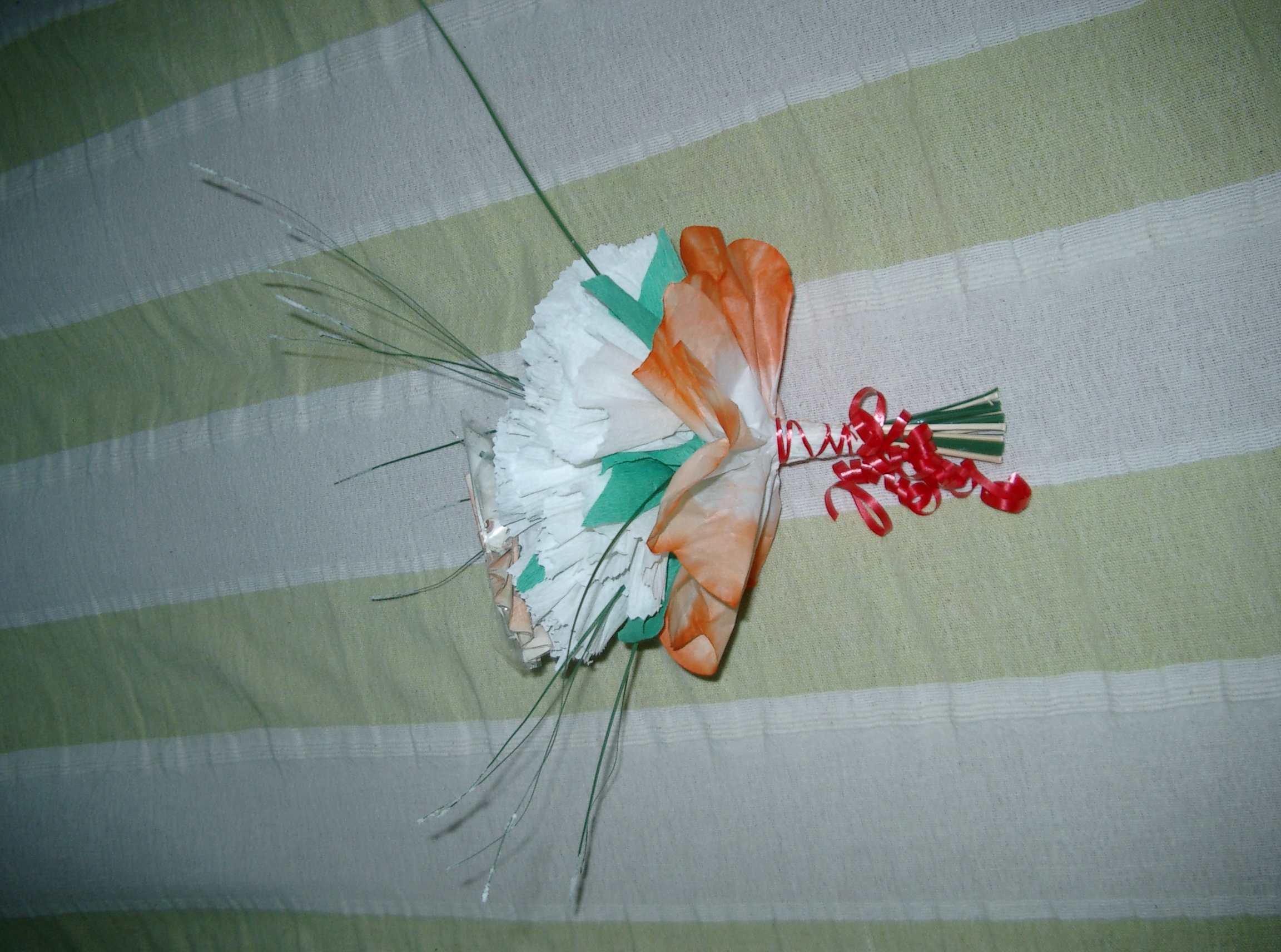 CIMG0027.JPG