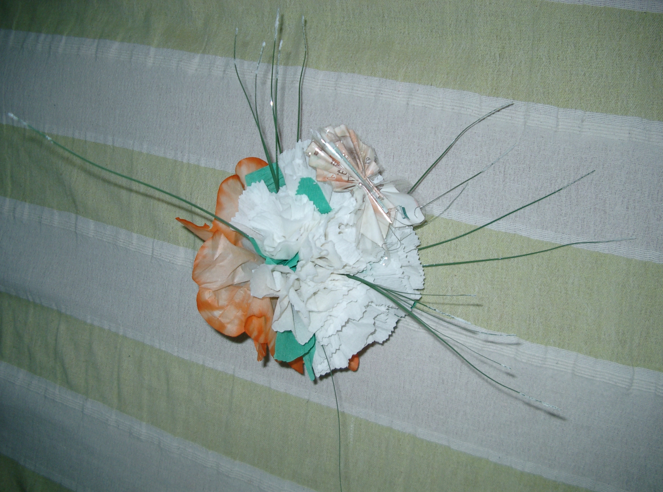 CIMG0028.JPG